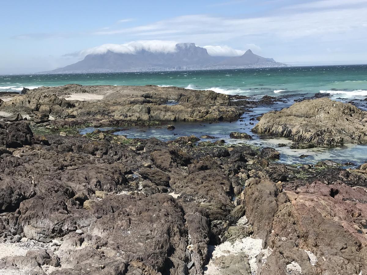 Atlantic Haven Leilighet Bloubergstrand Eksteriør bilde